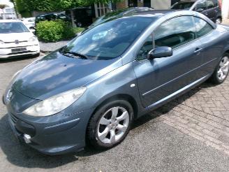 Peugeot 307 1.6-16V CABRIOLET CLIMA LEDER picture 19