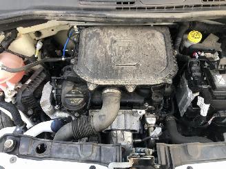 Fiat Panda 1.0 HYBRIDE picture 19