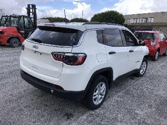 disassembly passenger cars Jeep Compass 2.4   MULTI AIR 2021/2