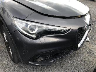Alfa Romeo Stelvio 2.2 d SUPER picture 23