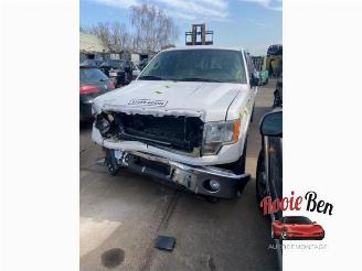 Dezmembrări autoturisme Ford USA F-150 F-150 Standard Cab, Pick-up, 2014 5.0 Extended Cab 2013/4