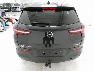 Opel Grandland  picture 7