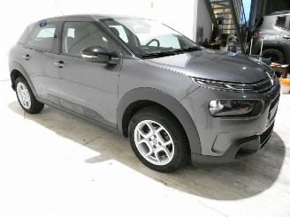 Citroën C4 CACTUS picture 15