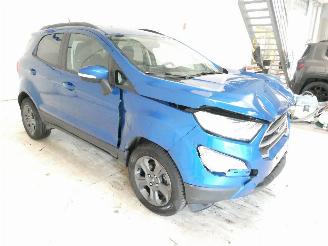Ford EcoSport 1.0 picture 11