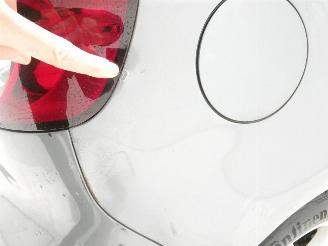 Volkswagen Golf plus PL HIGH 1.6 TDI picture 13