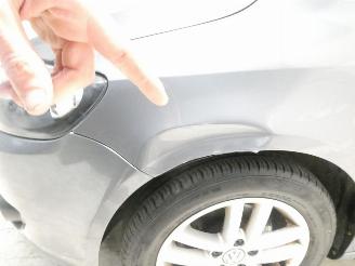 Volkswagen Golf plus PL HIGH 1.6 TDI picture 6