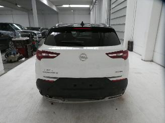 Opel Grandland X INNOVATI picture 6