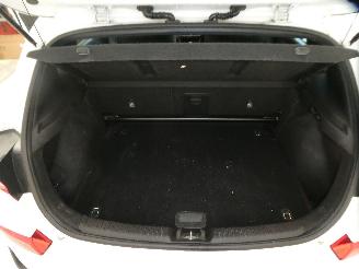 Hyundai I-30 N picture 22