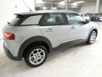Citroën C4 cactus CACTUS picture 6