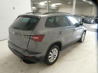 Skoda Karoq SELECTION picture 9