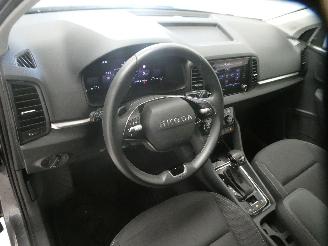 Skoda Karoq SELECTION picture 21