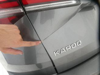 Skoda Karoq SELECTION picture 5