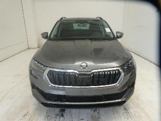 Skoda Karoq SELECTION picture 2