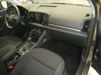 Skoda Karoq SELECTION picture 18