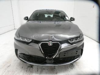 Alfa Romeo Tonale 1.6D picture 2