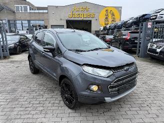 Ford EcoSport 1.0 picture 1