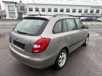 Skoda Fabia 1.2 CR TDI picture 8