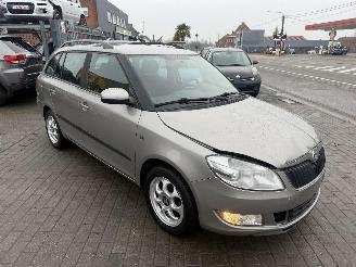 Skoda Fabia 1.2 CR TDI picture 3
