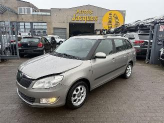 krockskadad bil auto Skoda Fabia 1.2 CR TDI 2011/2