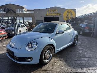 Schadeauto Volkswagen Beetle DESIGN 2014/7