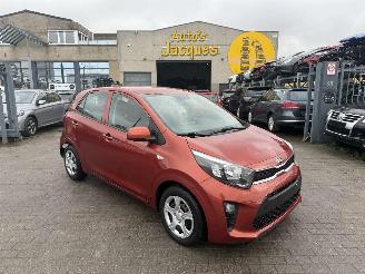 Damaged car Kia Picanto 1.0I 2019/5