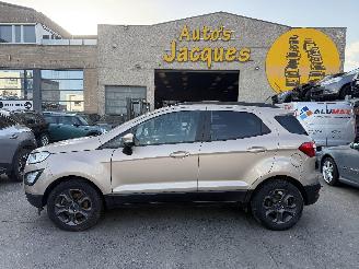 Vaurioauto  passenger cars Ford EcoSport 1.0I TREND 2019/1