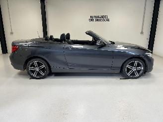 Avarii autoturisme BMW 2-serie SPORTLINE AUTOMAAT 2019/3