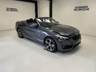 Unfallwagen BMW 2-serie SPORTLINE AUTOMAAT 2019/3
