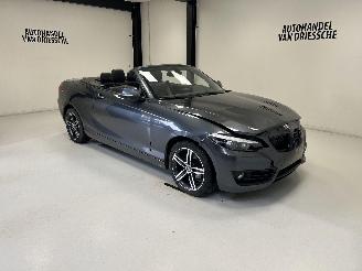 Auto incidentate BMW 2-serie SPORTLINE AUTOMAAT 2019/3