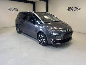 Coche accidentado Citroën C4 7 PLACE/ AUTOMAAT 2021/6