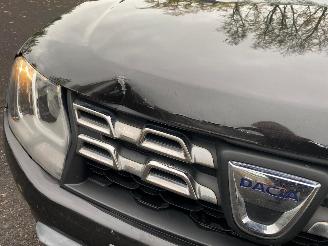 Dacia Duster SAGA picture 7