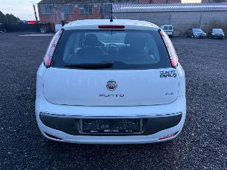 Fiat Punto Evo  picture 15