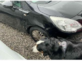 Opel Meriva ENJOY picture 2