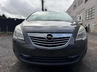 Opel Meriva COSMO picture 4