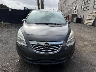 Opel Meriva COSMO picture 6