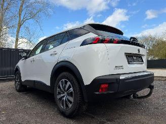 Peugeot 2008 II ACTIVE picture 11