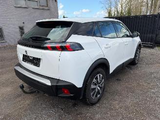 Peugeot 2008 II ACTIVE picture 18