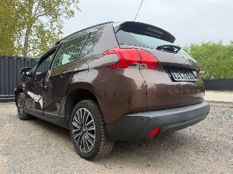 Peugeot 2008 ACTIVE picture 14