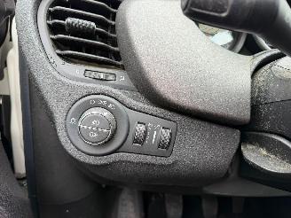 Fiat 500X  picture 28