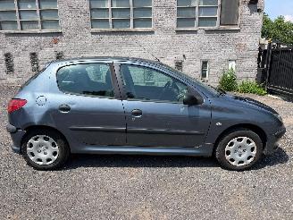 Schadeauto Peugeot 206 1.4 I 2007/9