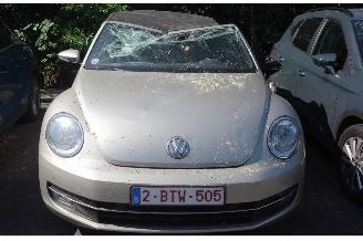 Volkswagen Beetle DESIGN picture 2