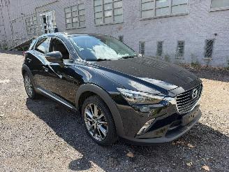 Mazda CX-3 SKYDRIVE picture 2