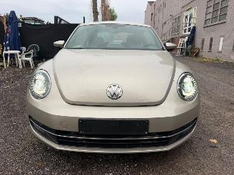 Volkswagen Beetle DESIGN picture 6