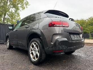 Citroën C4 cactus CACTUS FLAIR picture 14