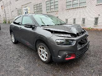 Citroën C4 cactus CACTUS FLAIR picture 2