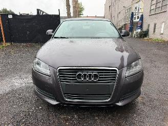 Audi A3 CABRIOLET picture 6