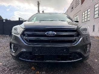 Ford Kuga ST-LINE picture 9