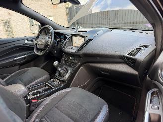 Ford Kuga ST-LINE picture 24