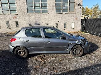 krockskadad bil auto Peugeot 206 1.2I 2010/1
