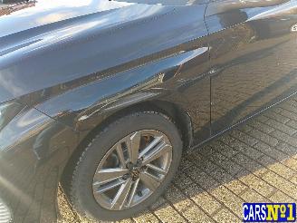 Peugeot 308  picture 14